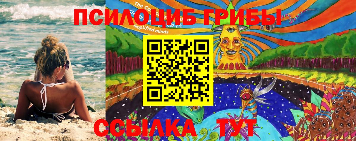 Галлюциногенные грибы Magic Shrooms  Вход с VPN  купить наркотики сайты  Псилоцибиновые грибы Psilocybe  Рассказово 