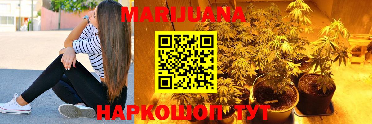 Конопля Bruce Banner Рассказово